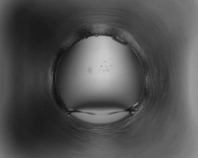 X0000087570454200705181145