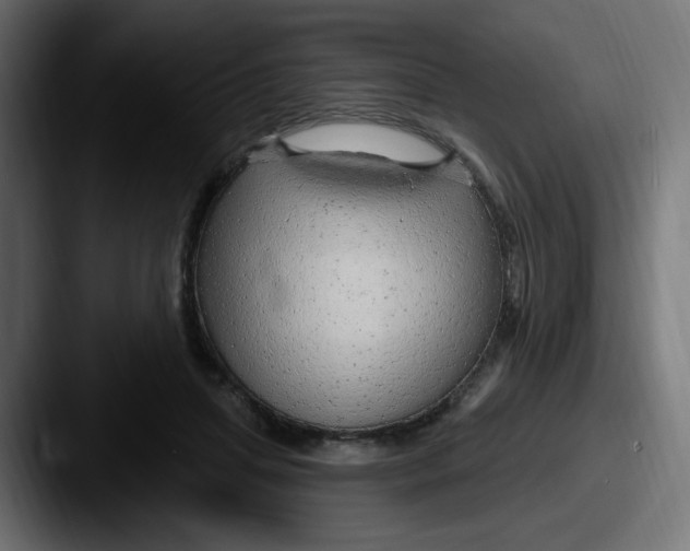 X0000087570455200705181146