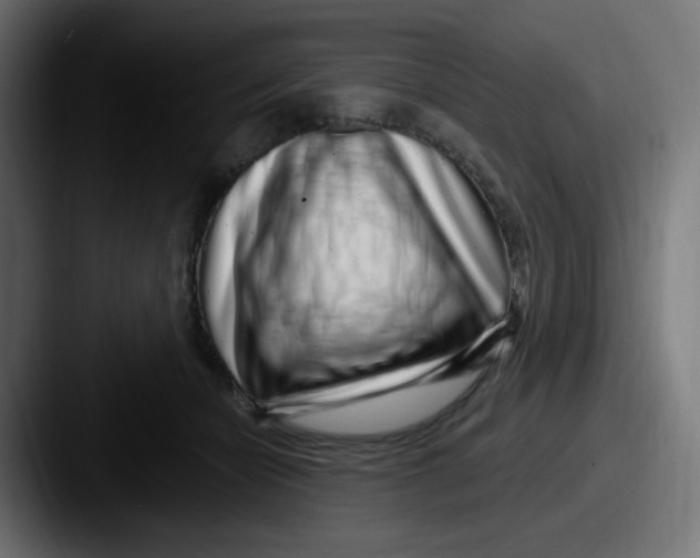 X0000087570462200705181146