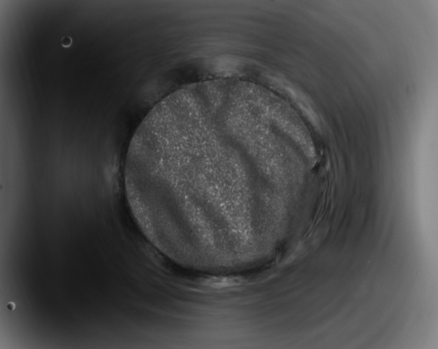 X0000087570465200705181146