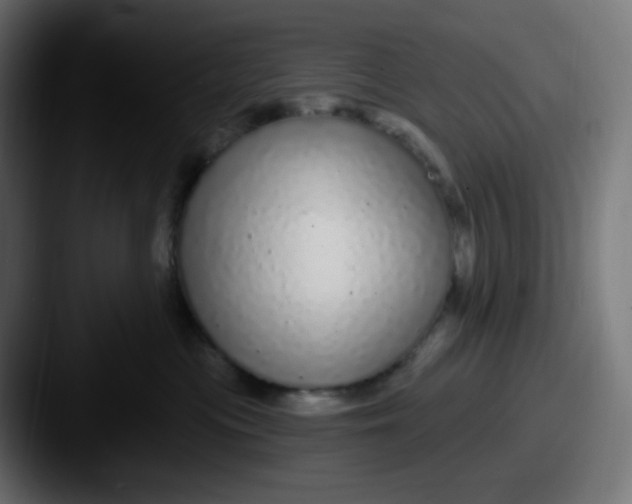 X0000087570477200705181146