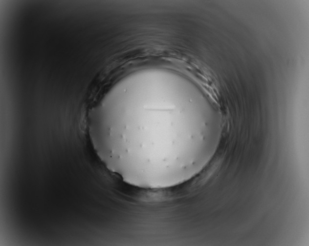 X0000087570479200705181146