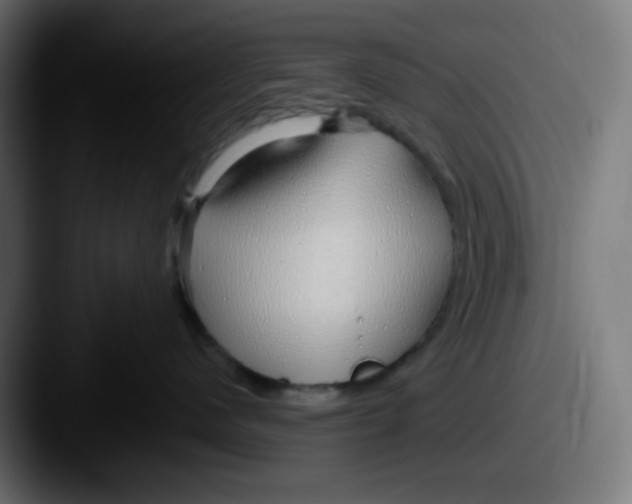 X0000087570480200705181146