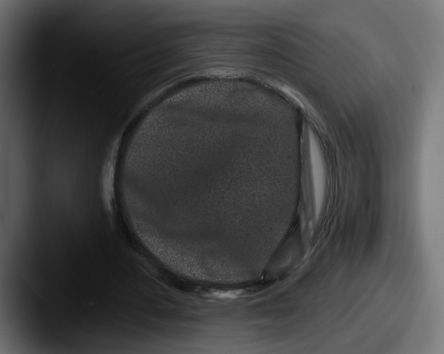 X0000087570484200705181145