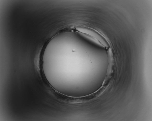 X0000087570485200705181145