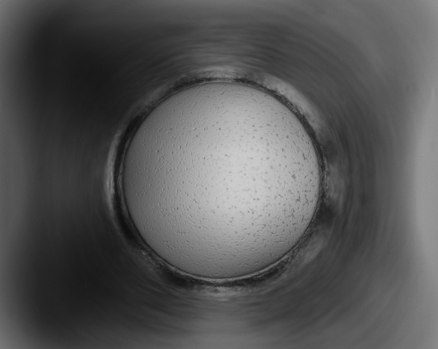 X0000087570486200705181145