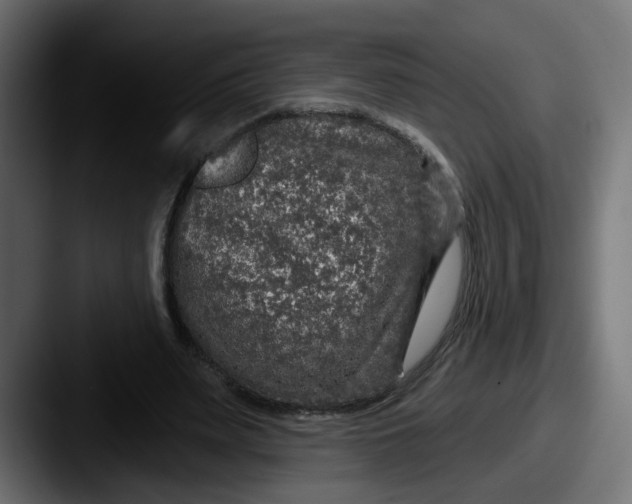 X0000087570487200705181145