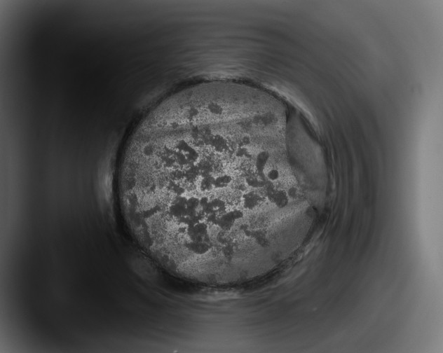 X0000087570491200705181145