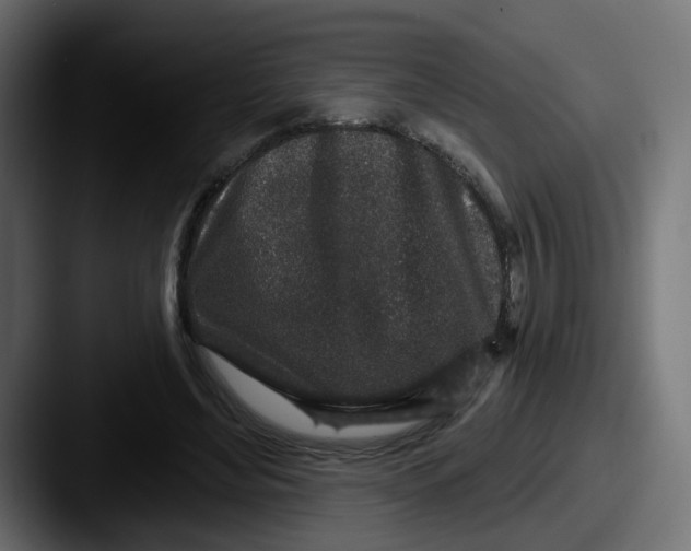 X0000087570492200705181145