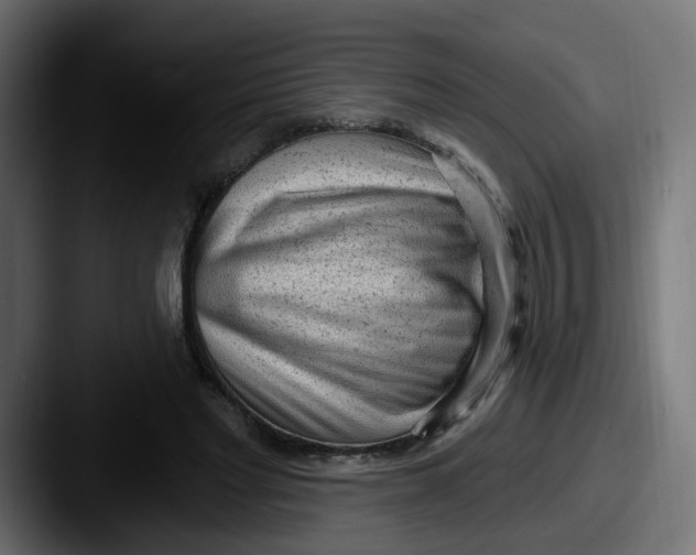 X0000087570493200705181145