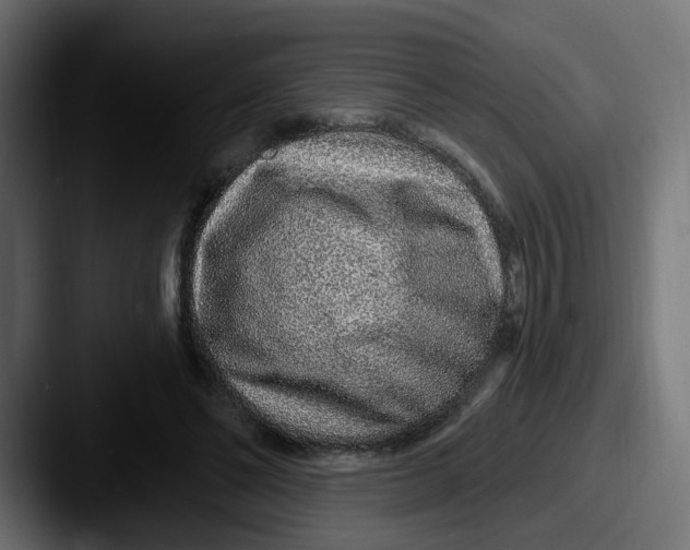 X0000087570494200705181145