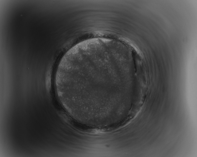 X0000087570496200705181145