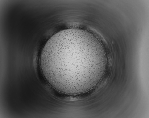 X0000087570498200705181145