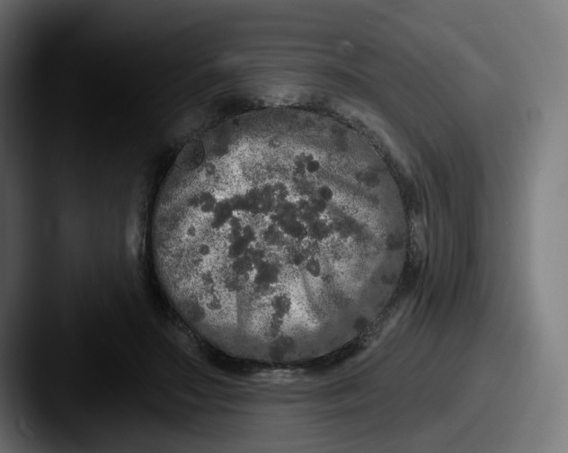 X0000087570499200705181145