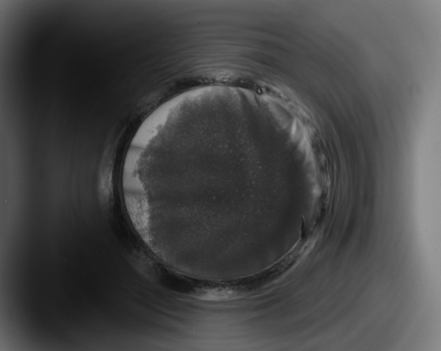 X0000087570500200705181145