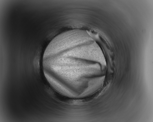 X0000087570501200705181145