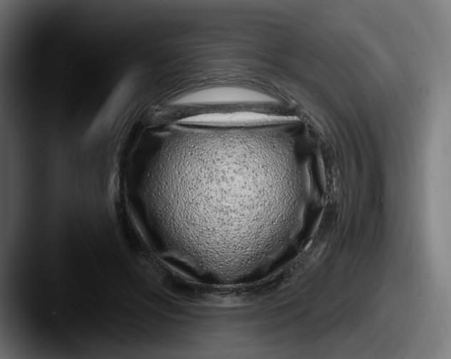 X0000087570502200705181145