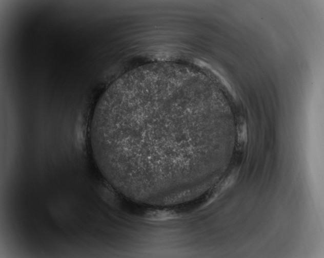 X0000087570503200705181145