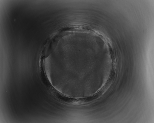 X0000087570504200705181145