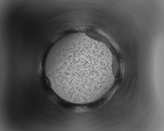 X0000087570508200705181145