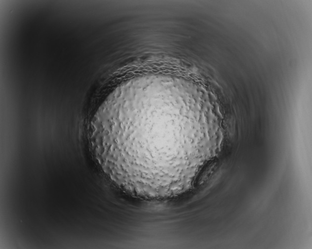 X0000087570511200705181145