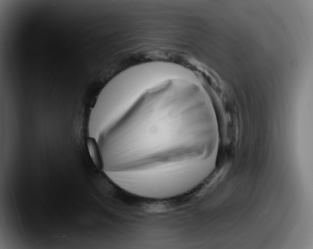 X0000087570513200705181145