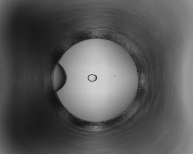 X0000087570514200705181145