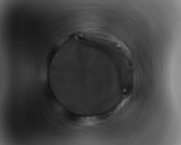 X0000087570517200705181145