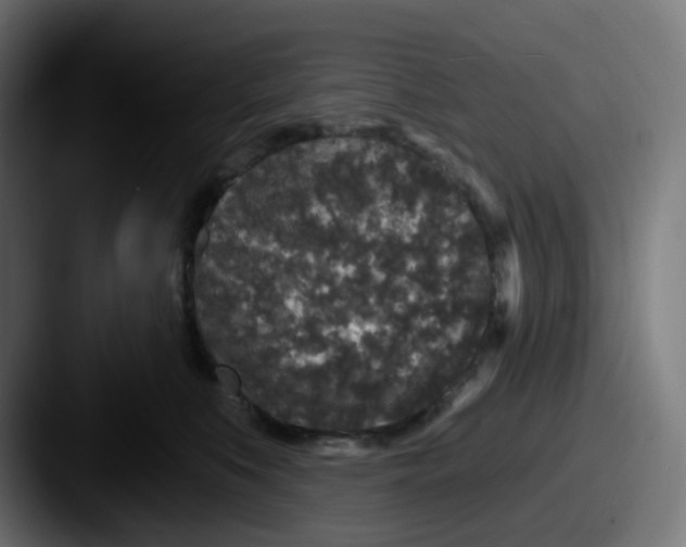 X0000087570519200705181145