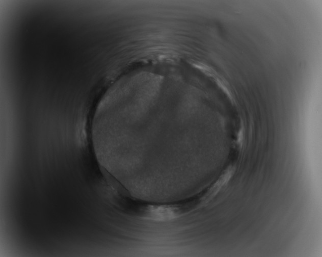 X0000087570520200705181145