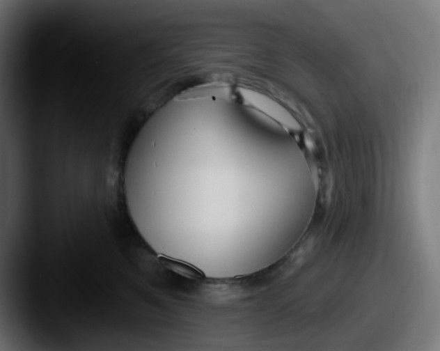 X0000087570521200705181145