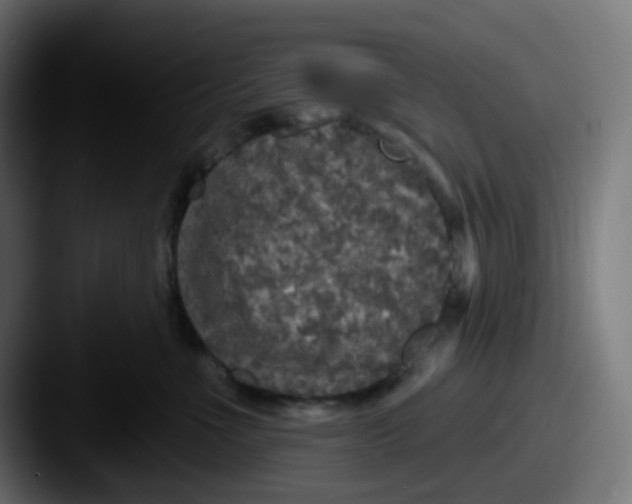 X0000087570523200705181145