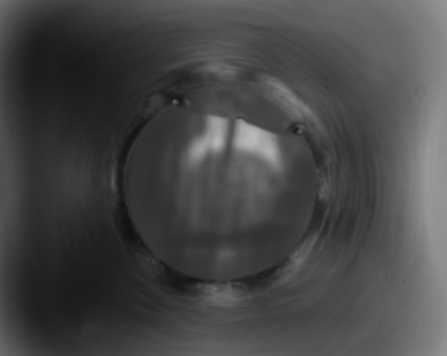 X0000087570524200705181145