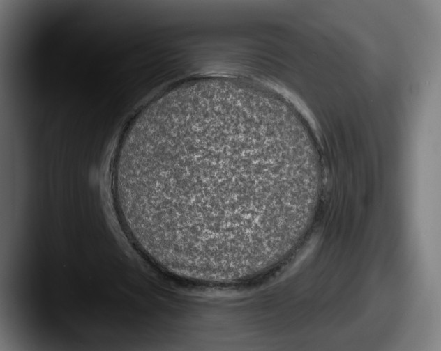 X0000087570529200705181144