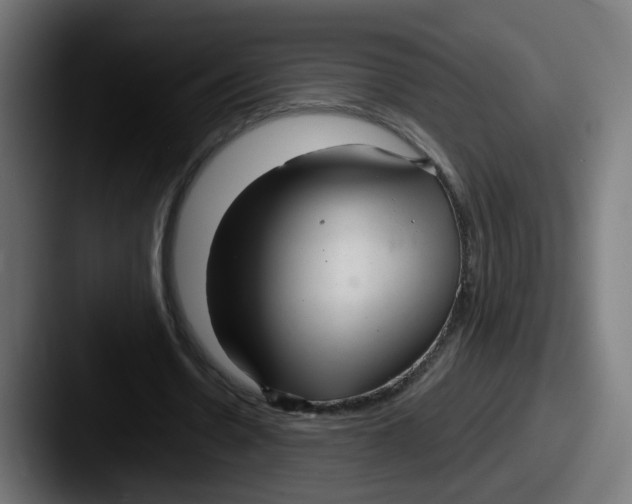 X0000087570530200705181144