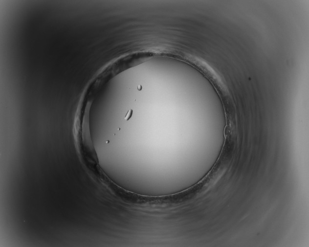 X0000087570532200705181144