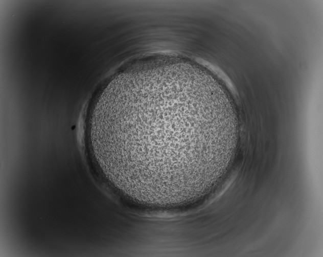 X0000087570533200705181144