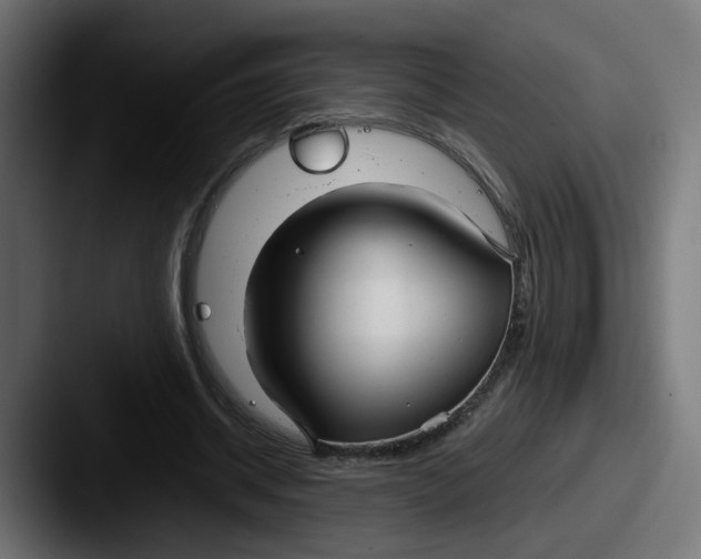 X0000087570534200705181144