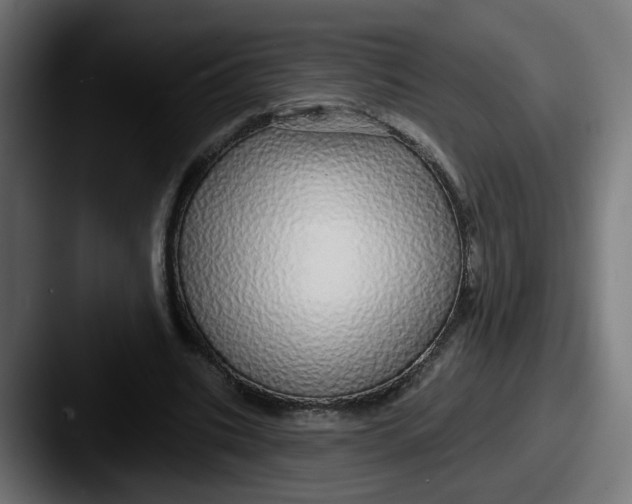 X0000087570535200705181144