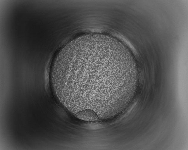 X0000087570537200705181144