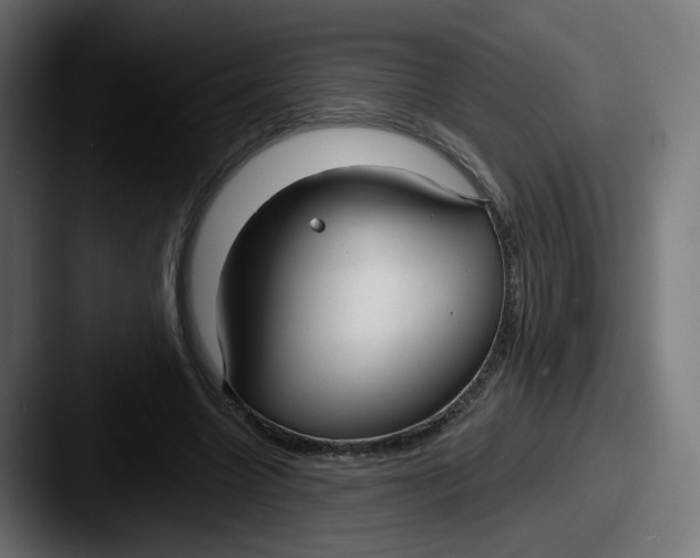 X0000087570538200705181144