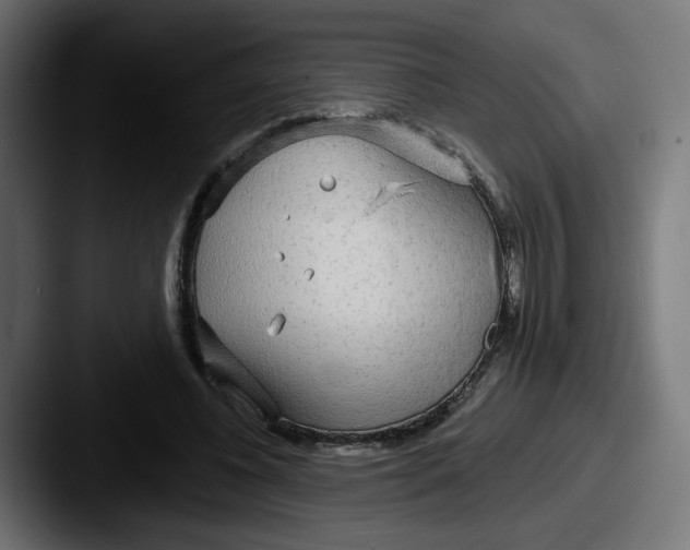 X0000087570540200705181144