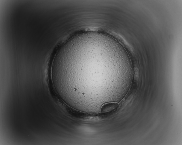 X0000087570543200705181144