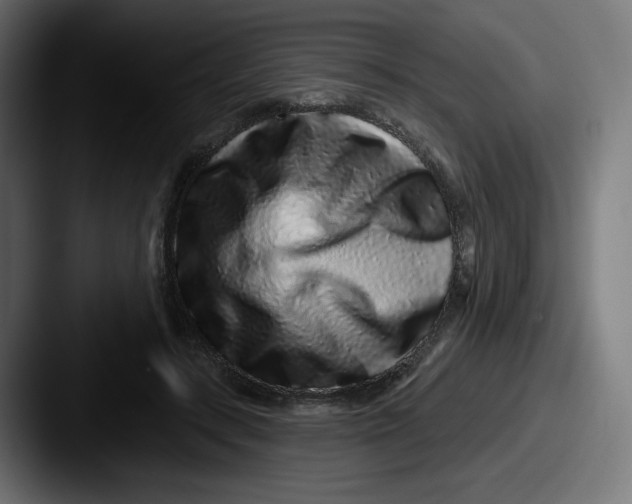 X0000087570547200705181144