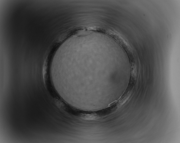 X0000087570548200705181144