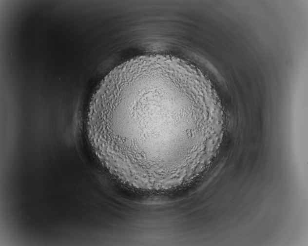 X0000087570549200705181144