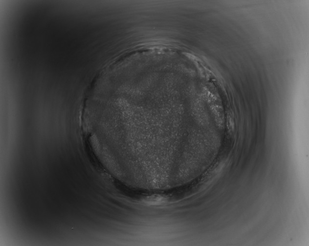 X0000087570551200705181144