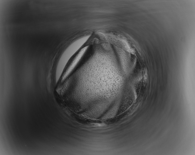 X0000087570552200705181144