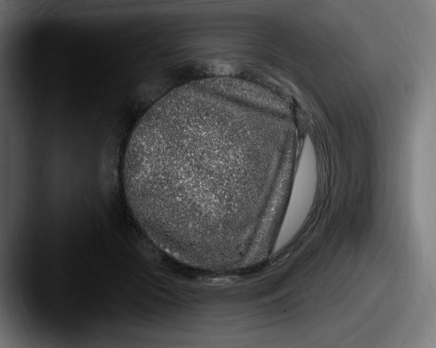 X0000087570553200705181144