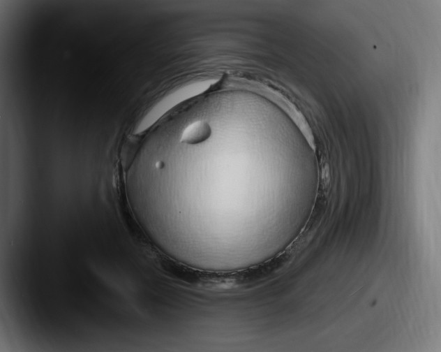 X0000087570554200705181144